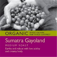 Tony's Coffees and Teas Ground Sumatra Gayoland (6x6/12 Oz)