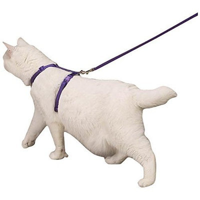 Savvy Tabby Nylon Cat Harness