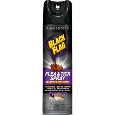 Black Flag 16 oz. Flea Killer Aerosol