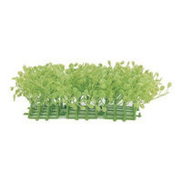 Hagen Marina Rootscaper Grossostigma Mat Plant- 3 Pack
