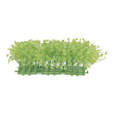 Hagen Marina Rootscaper Grossostigma Mat Plant- 3 Pack
