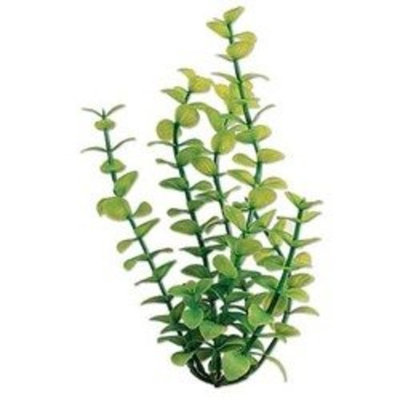 Tetra Usa ATS19106 Water Wonders Bacopa Aquarium Plant, 6-Inch, Green
