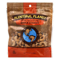 Plentiful Planet Nut Cashew 320 Roasted Bag (Pack Of 6)