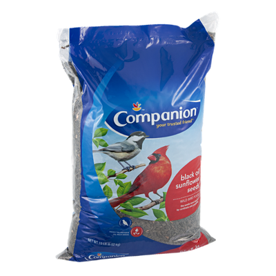 Companion Wild Bird Food Black Oil Sunflower Seeds