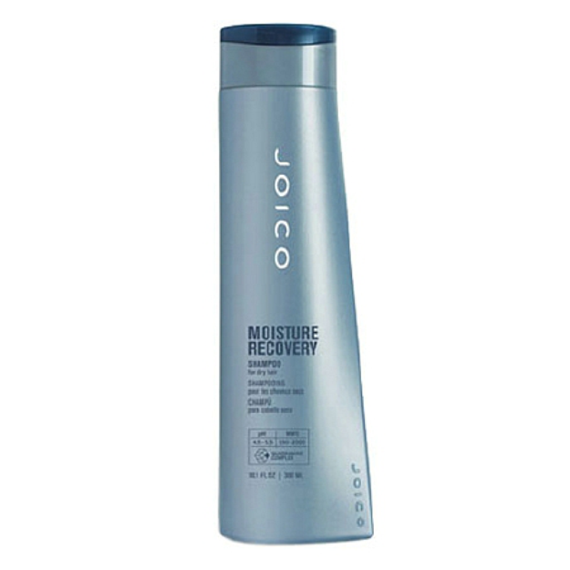 Joico Moisture Recovery Conditioner