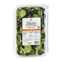 Ahold Nature's Promise Organic Baby Romaine