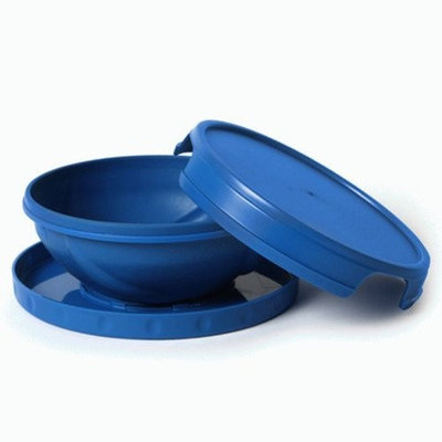 FLATTERWARE Collapsible Bowl Plate Travel For Humans Blue