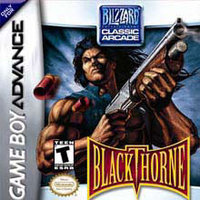 Blizzard Entertainment Blackthorne