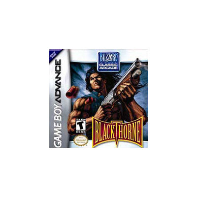 Blizzard Entertainment Blackthorne
