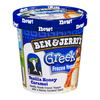 Ben & Jerry's® Vanilla Honey Caramel Greek Frozen Yogurt