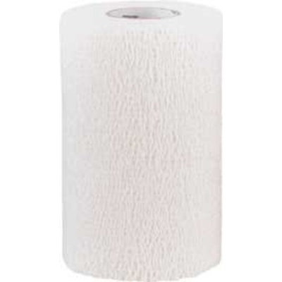 Andover healthcare 3840WH-100 Powerflex Equine Bandage White 4 in (Case of 100)