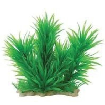 Pure Aquatic Pure Pets Aquatic Plant Blyxa Combo 12-14 Inch Green