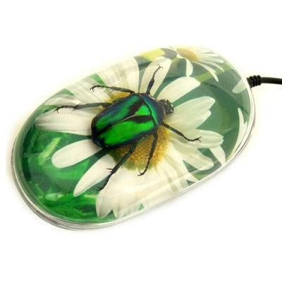 ED SPELDY EAST CM206 Computer Mouse, Chafer Beetle, Flower Background