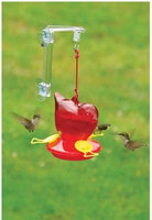 Songbird Essentials SEBCO312W Window Bird Hummingbird Feeder - Red