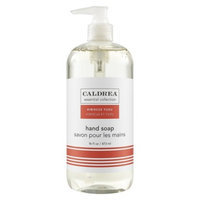 The Caldrea Company Caldrea hand soap Hibiscus Yuzu 16 fl. oz.