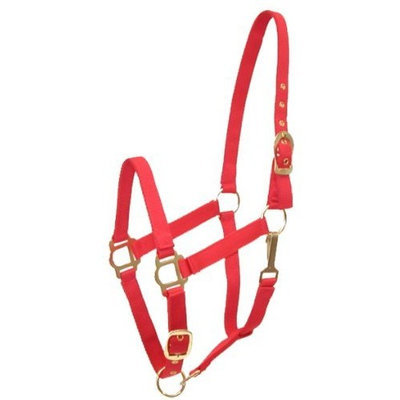 Gatsby Leather Gatsby Adjustable Nylon Halter w/Snap