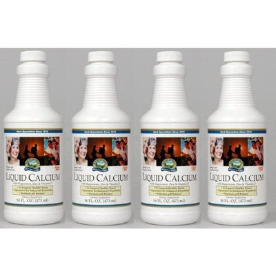 Nature's Sunshine Naturessunshine Calcium Liquid Supports Bones Health 16 fl.oz (Pack of 4)