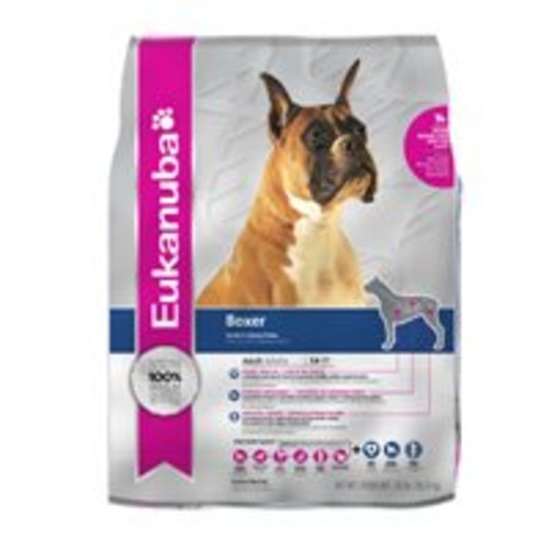 eukanuba boxer puppy