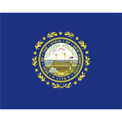 Annin New Hampshire State Flag - 4' x 6'