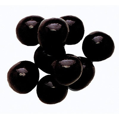 Marich Confectionery Marich brand Dark Chocolate Sea Salt Caramels, 10 lb. Bag.