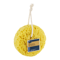 CareOne Synthetic Sea Sponge