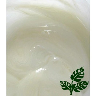 JustNatural Organic Care African American Shampoo for Natural Hair