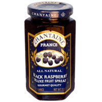 St Dalfour St. Dalfour Chantaine Deluxe Fruit Spread All Natural Black Raspberry -- 11.5 oz