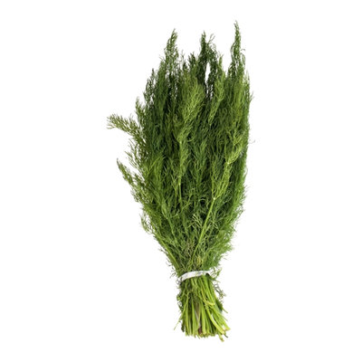 Herbs Dill