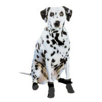 Pedigree Perfections Pedigree Perfection PT-S-BLK Pawtectors Small Paw Boots for Your Pet, Black, Set of 4