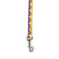 Casual Canine Nylon Collegiate Paws Dog Lead, 4-Feet, Purple/Yellow
