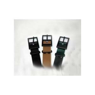 Tri Tronics Collar with Square Buckle and Black Hardware Color: Black