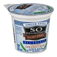 So Delicious Dairy Free Greek Style Cultured Coconut Milk Blueberry
