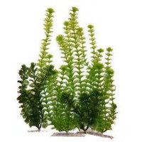 United Pet Group Plant Assorted Multi-Pack, 4 pike