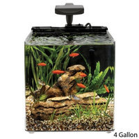 Aqueon Oceanic Systems, Inc. Evolve 4 - LED Light Aquarium Kit