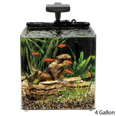 Aqueon Oceanic Systems, Inc. Evolve 4 - LED Light Aquarium Kit