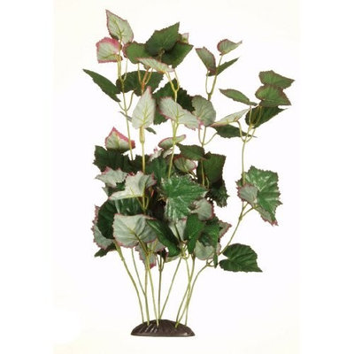 Hagen Marina Ecoscaper Trapa Natans Plant, 12-Inch