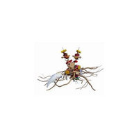 A & E Cage HB46651 Swinging Root Chain Large
