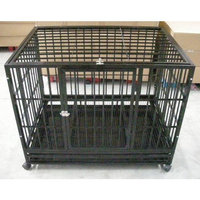 Bestpet 48