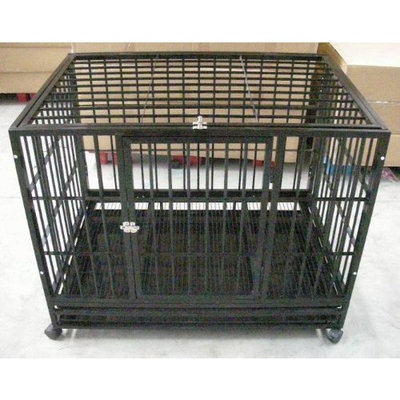 Bestpet 48