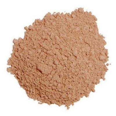 Colorescience Loose Foundation Brush- In the Dark