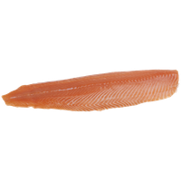 Salmon Fillet