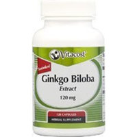 Vitacost Brand Vitacost Ginkgo Biloba Extract -- 120 mg - 120 Capsules