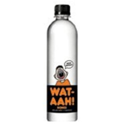 Let Water Be Water Water, Bone and Power, 16.90-Ounce (Pack of 12)