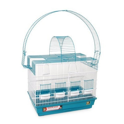 Prevue Hendryx-Cockatiel Double Playpen