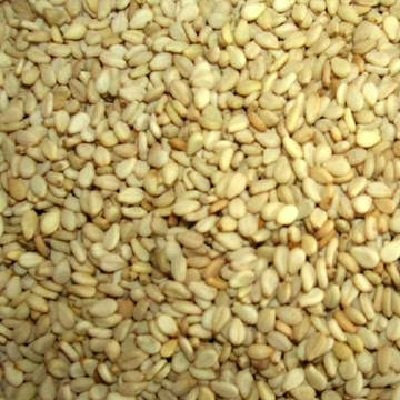 Bulk Seeds 100% Organic Raw Shelled Sunflower Seeds 25 Lbs