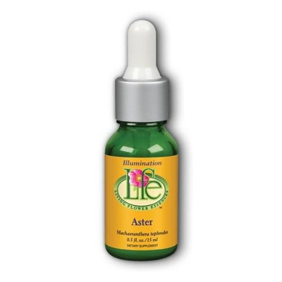 Aster Living Flower 0.5 oz Liquid