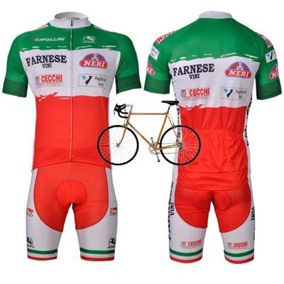 2012 Style FARNESE cycling jersey Set short-sleeved jersey /Perspiration breathable