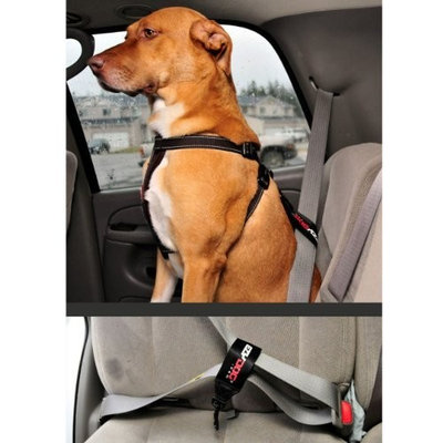 EzyDog Seat Belt Restraint for Dogs