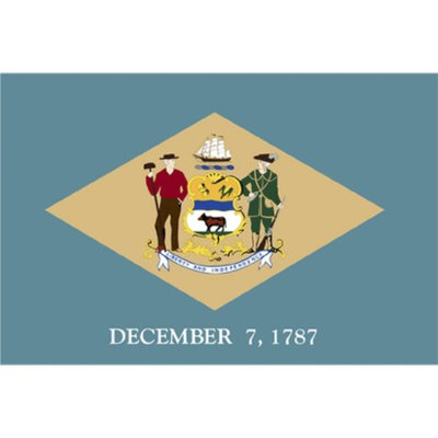 Annin Delaware State Flag - 4' x 6'