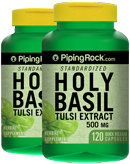 Piping Rock Holy Basil Extract 500 mg 2 Bottles x 120 Capsules